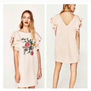 ZARA Blush Dress